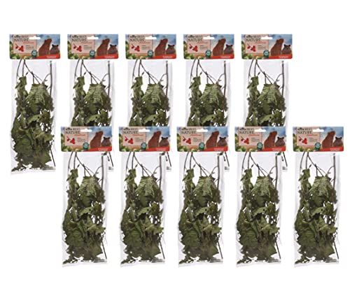 Dehner Best Nature Nagersnack Haselnusszweige 10x25g