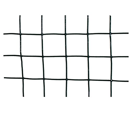 Dehner Drahtgitter quadratisch 5x0,5 m PVC-ummantelt
