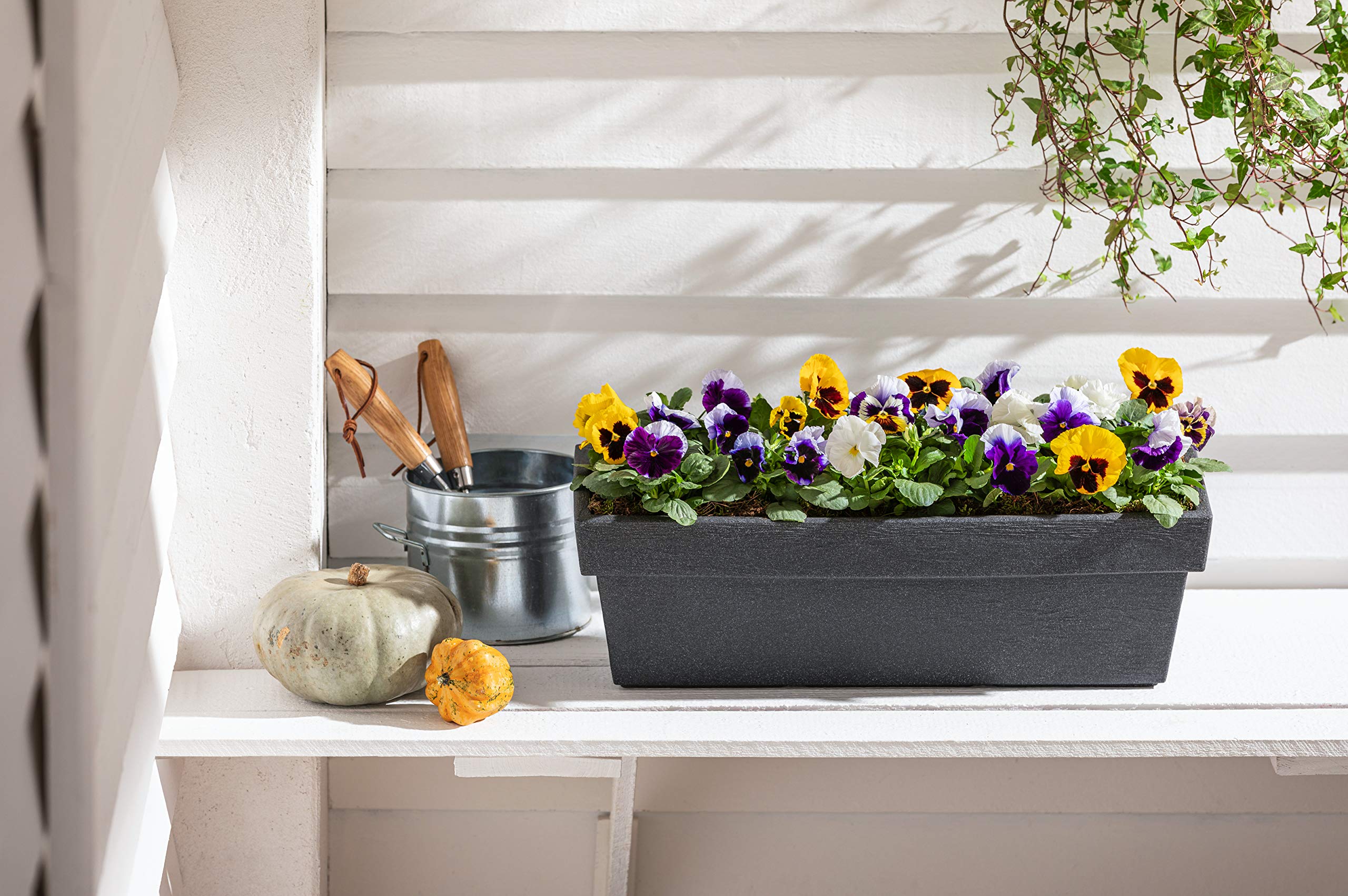 Dehner Gartencenter Mailand Blumenkasten 60cm anthrazit Kunststoff
