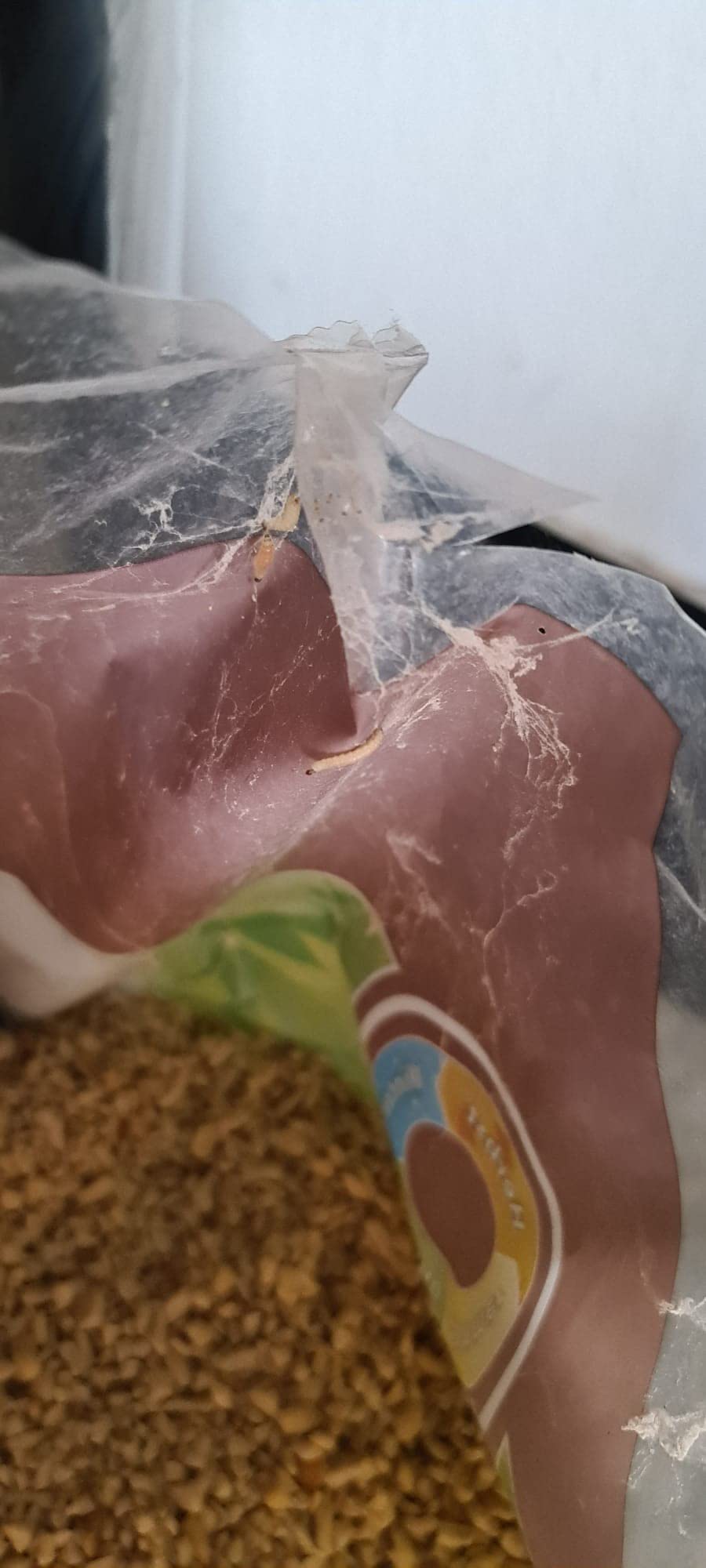 Dehner Natura Premium Wildvogelfutter Erdnüsse 10kg schalenfrei