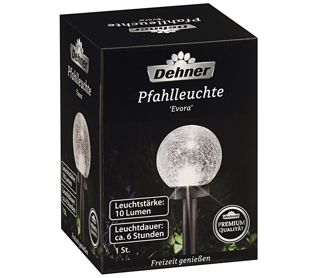 Dehner Premium Evora Solarleuchte 47,5 cm Krakelee
