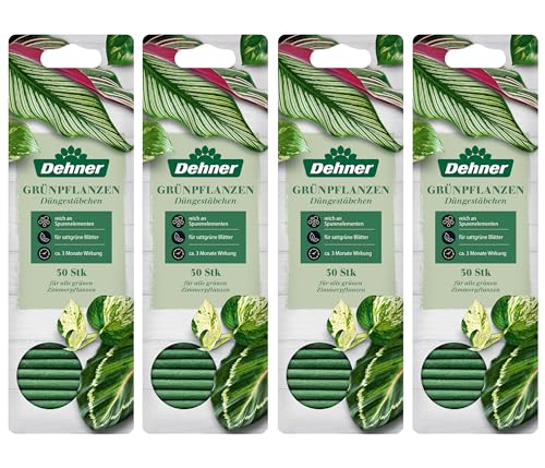Dehner Premium Düngestäbchen Grünpflanzen 120 Stück NPK