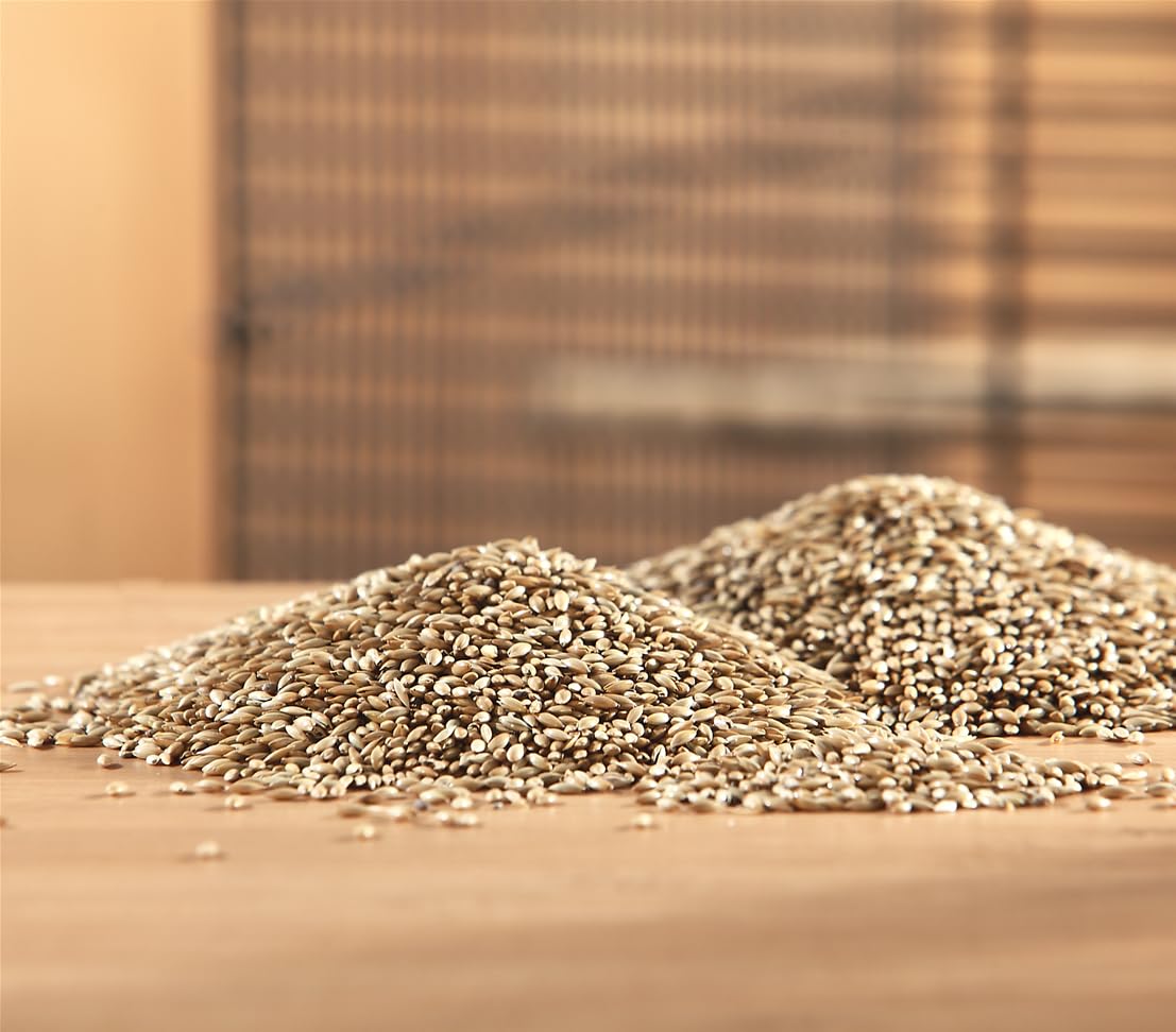 Dehner Lieblinge Kanariensaat Vogelfutter 10x1 kg