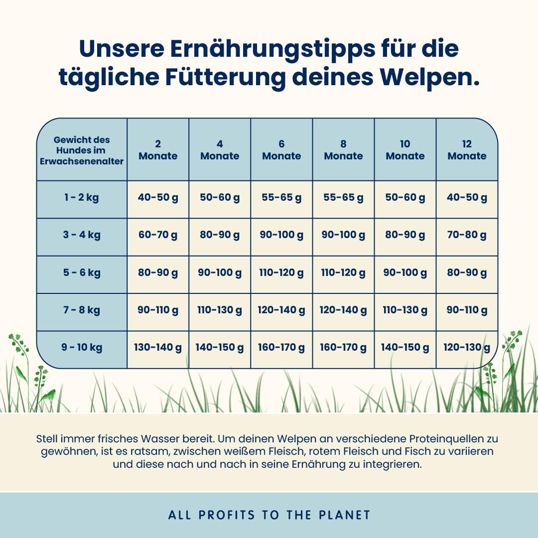 Almo Nature Puppy Trockenfutter Huhn 2kg XS-S Welpen