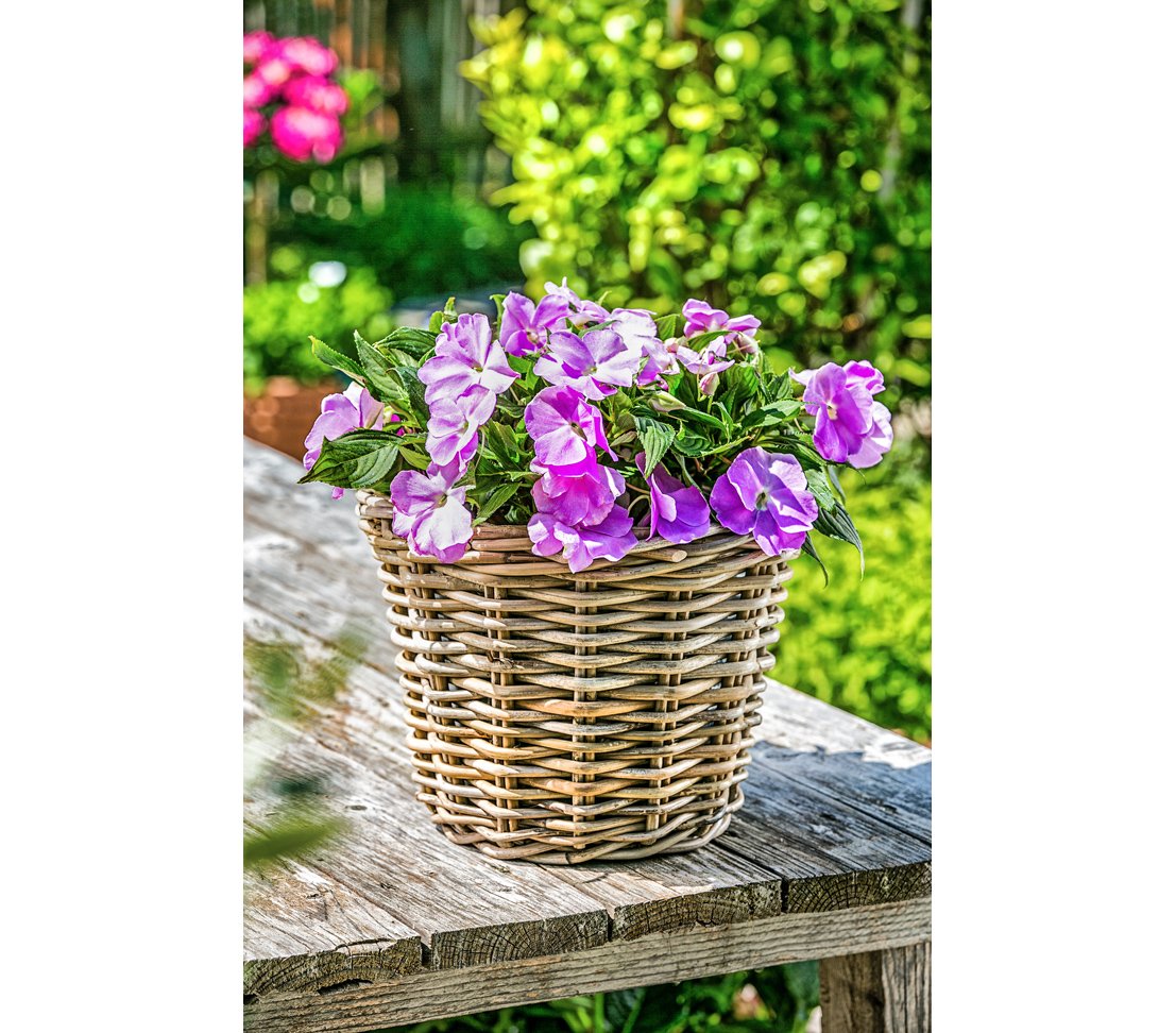 Dehner Premium Rattan Pflanztopf Ø29x20cm grau-braun Geflecht