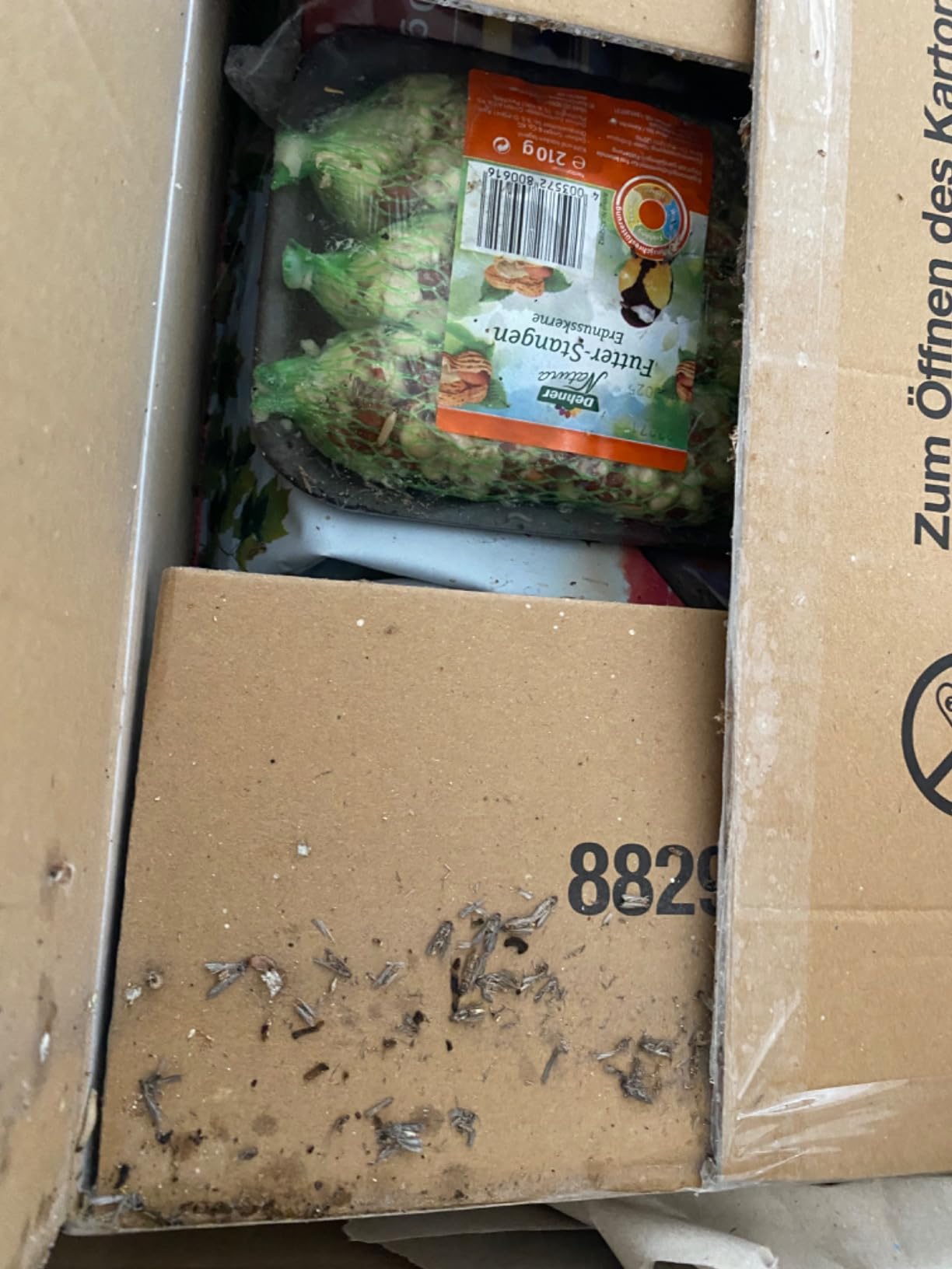 Dehner Natura Futterbuffet Maxi Wildvogelfutter 8-teilig Ganzjahr