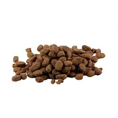 Mr. Crumble Reis Truthahn Trockenfutter 15 kg glutenfrei