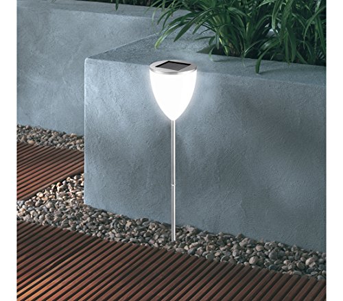 Dehner Living Solarleuchte Wineglas weiß 71 cm 8h