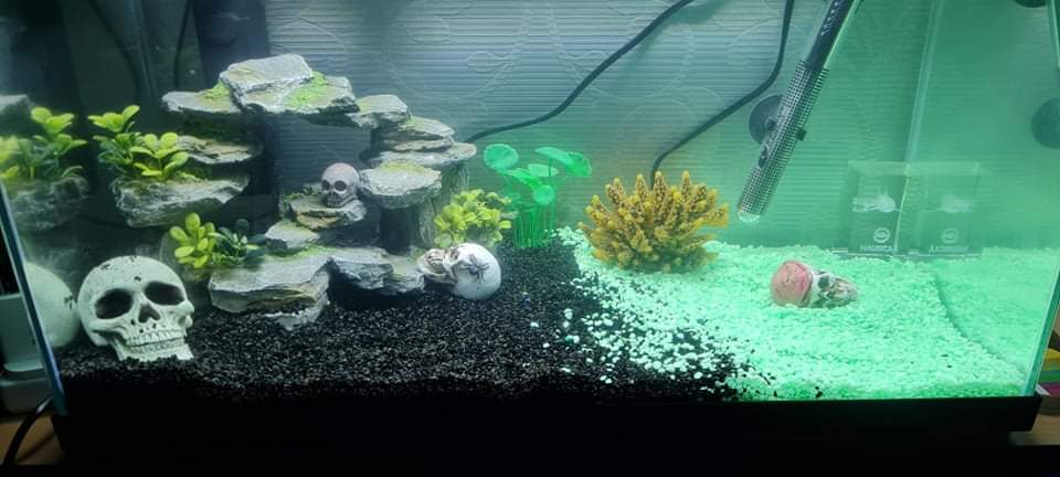 Dehner Premium Lovely Aquarienkies schwarz 2-3 mm 5 kg