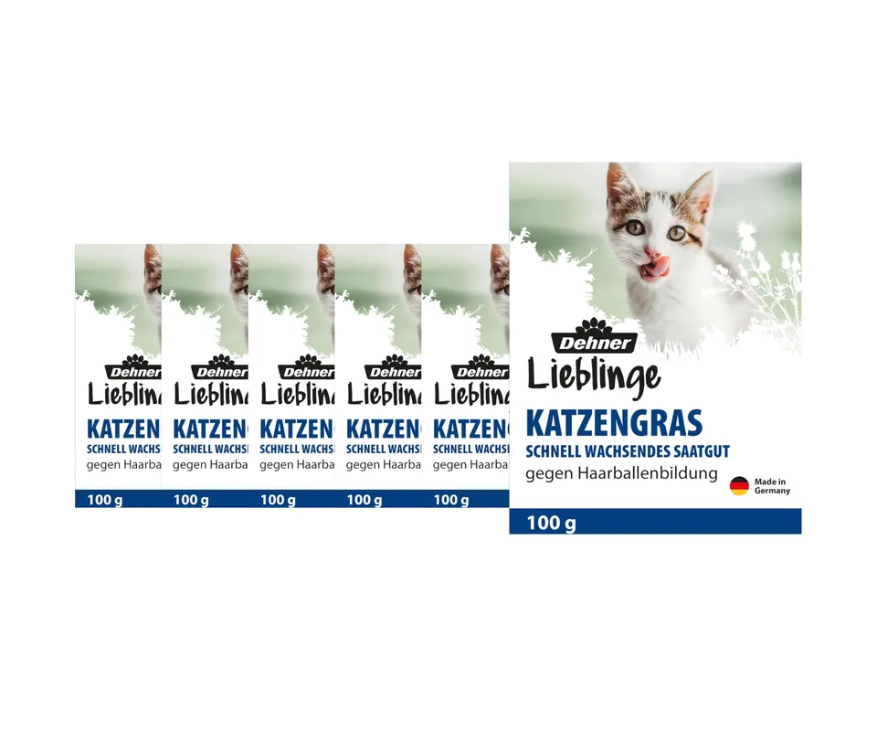 Dehner Lieblinge Katzengras Saatgut 6x100g 600g