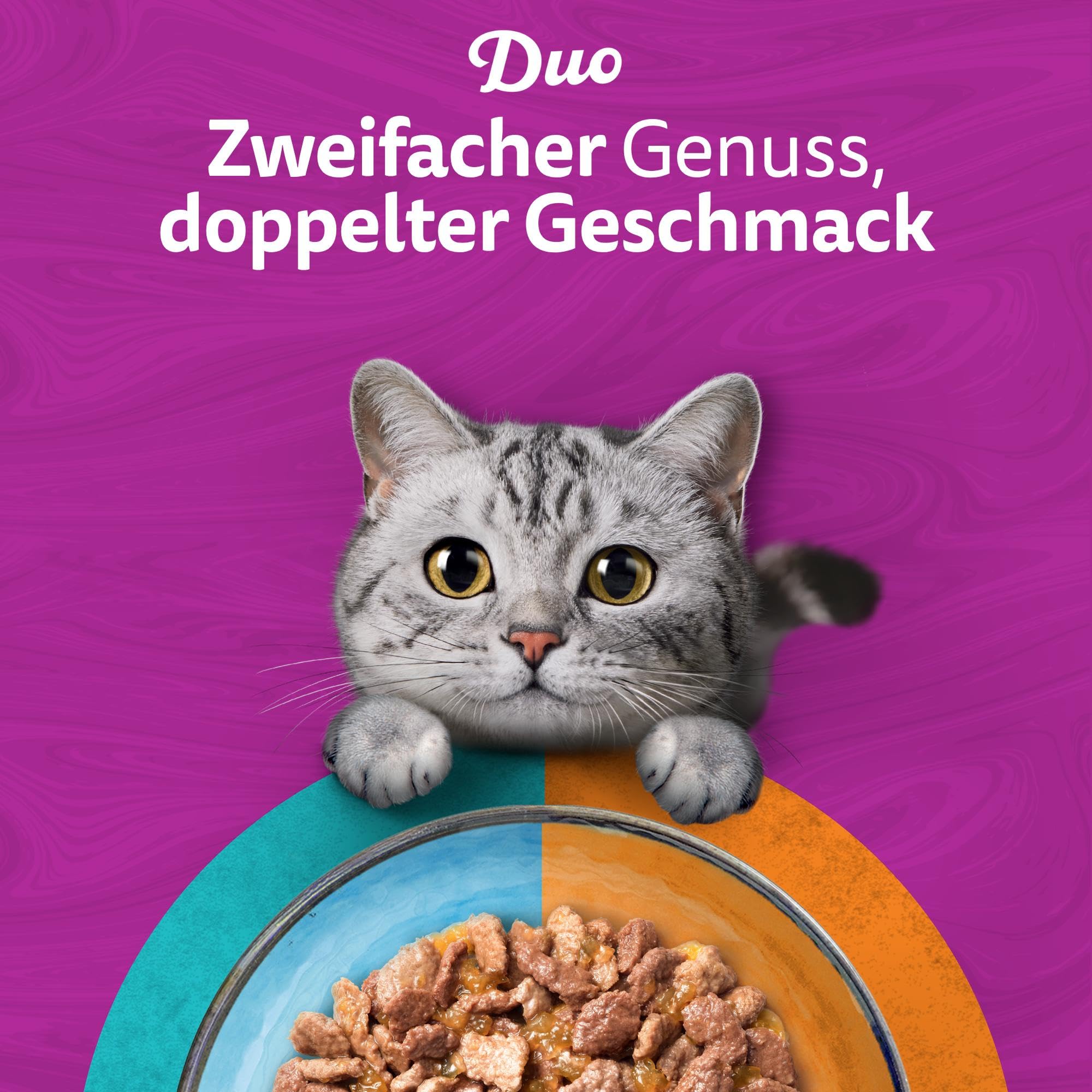 Whiskas Tasty Duo Nassfutter Surf & Turf Gelee 84x85g
