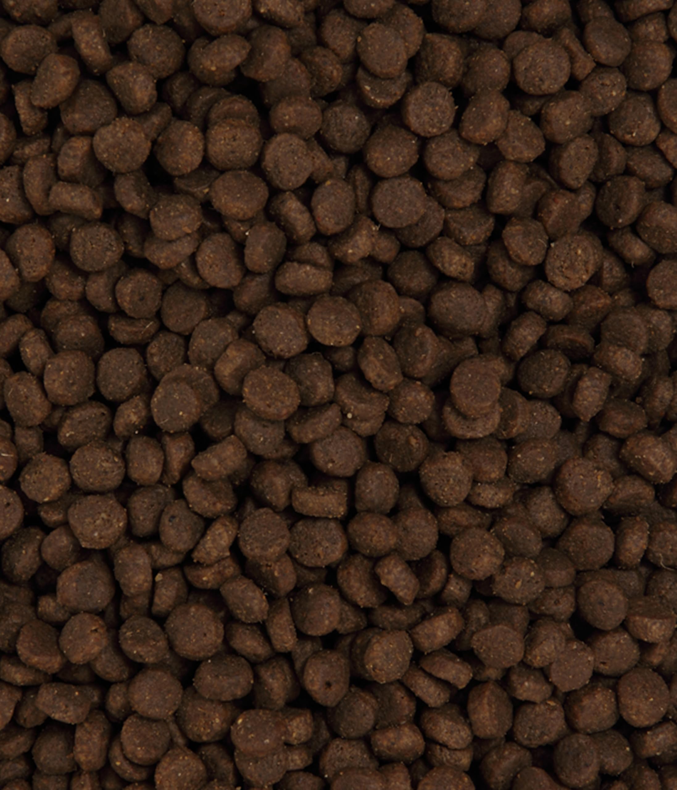 Dehner Premium Sensitive Adult Trockenfutter Pute 2 kg getreidefrei