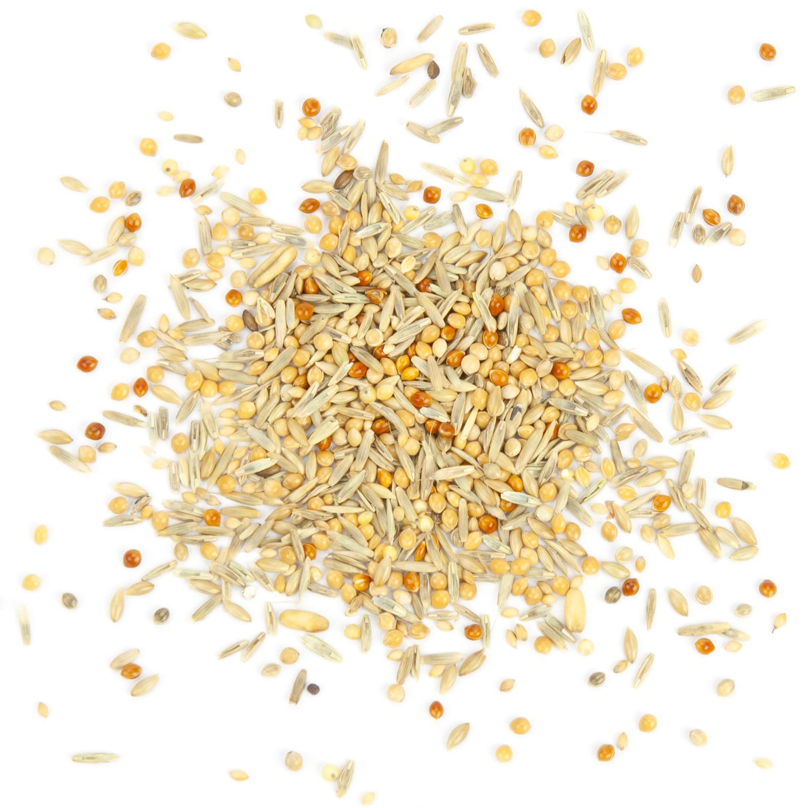 Mr. Crumble Welli-Fit Wellensittichfutter 2,5kg Grassamen