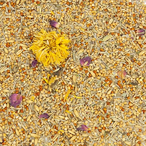 Mr. Crumble Welli-Topfit Wellensittichfutter 1kg Kräuter