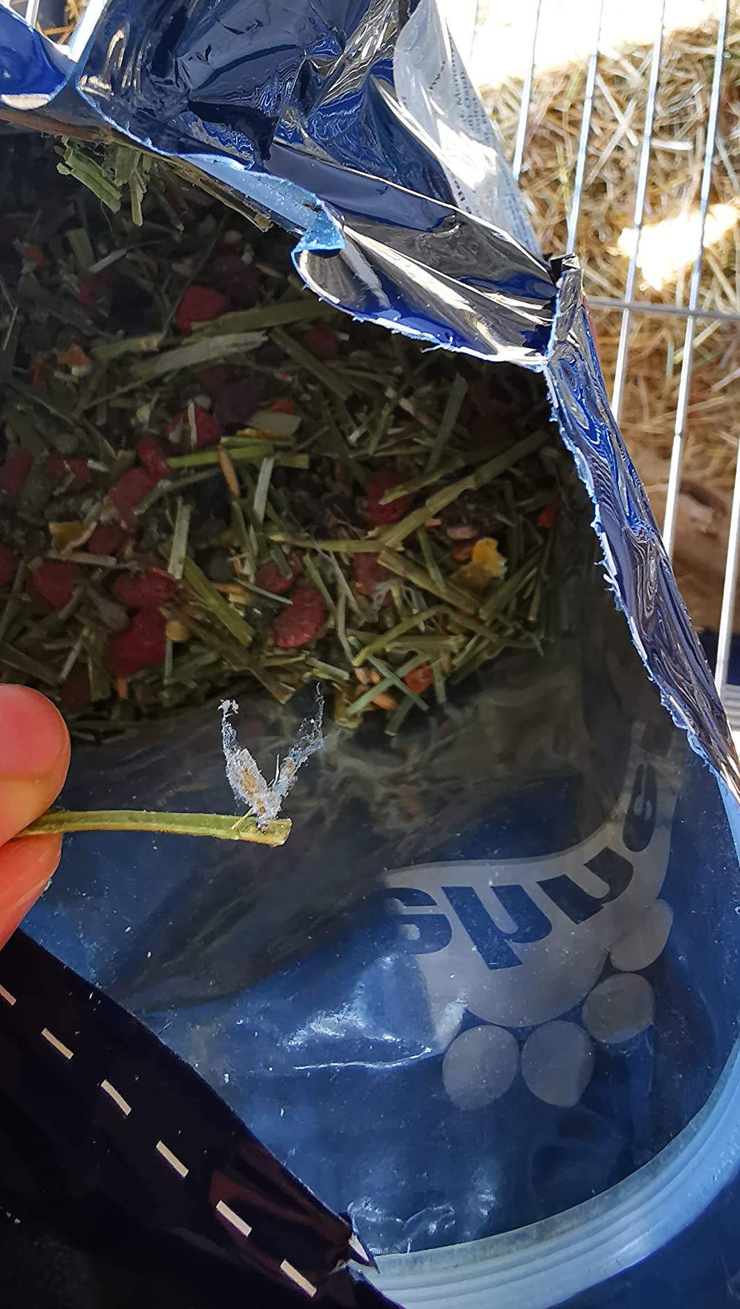 Dehner Premium Meerschweinchenfutter Vitalkost 4kg prebiotisch