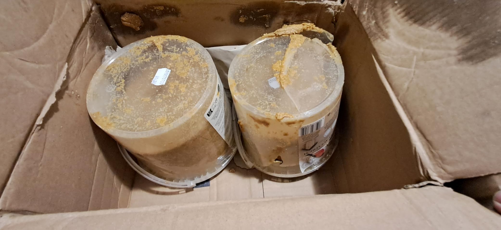 Dehner Natura Premium Erdnuss-Aufstrich Wildvogelfutter 2 kg energiereich
