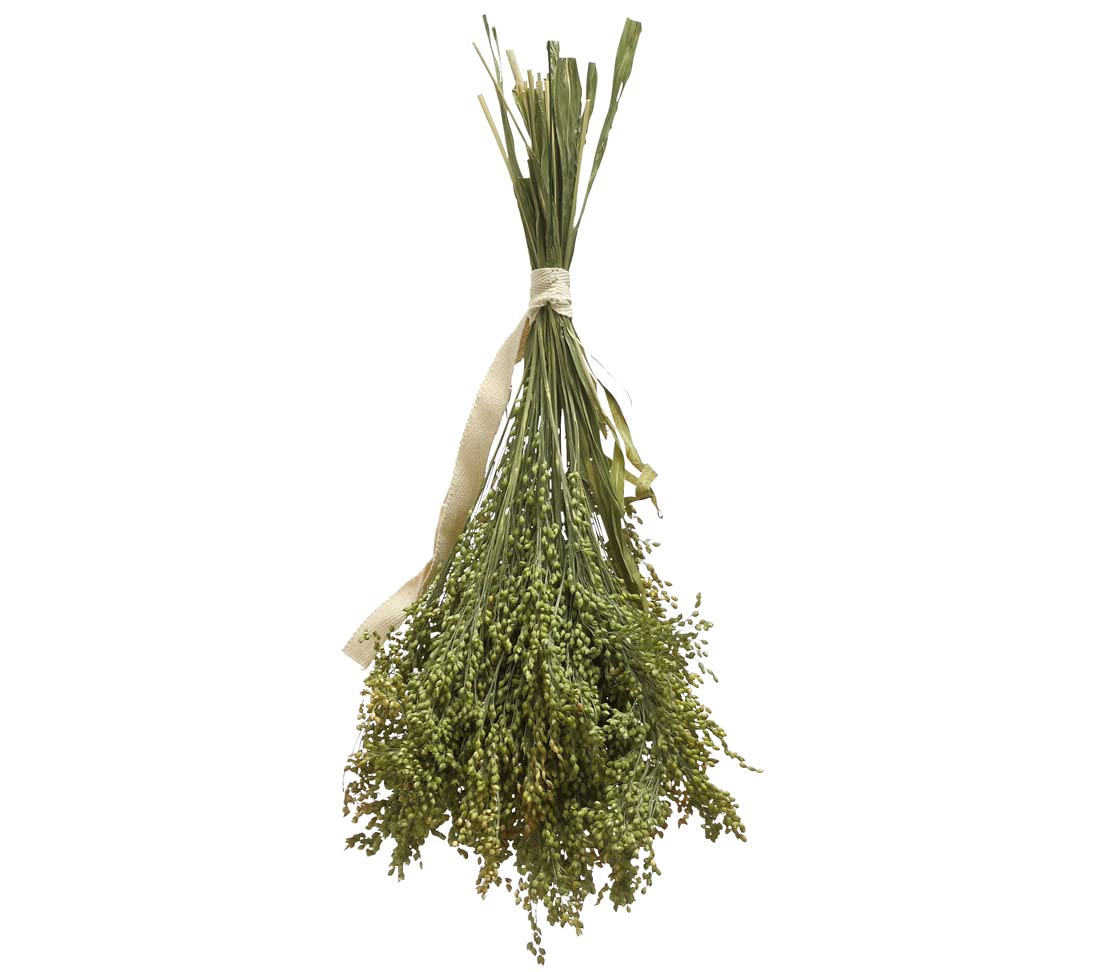 Dehner Best Nature Knabberhalme Rispenhirse Vogelsnack 10x50g