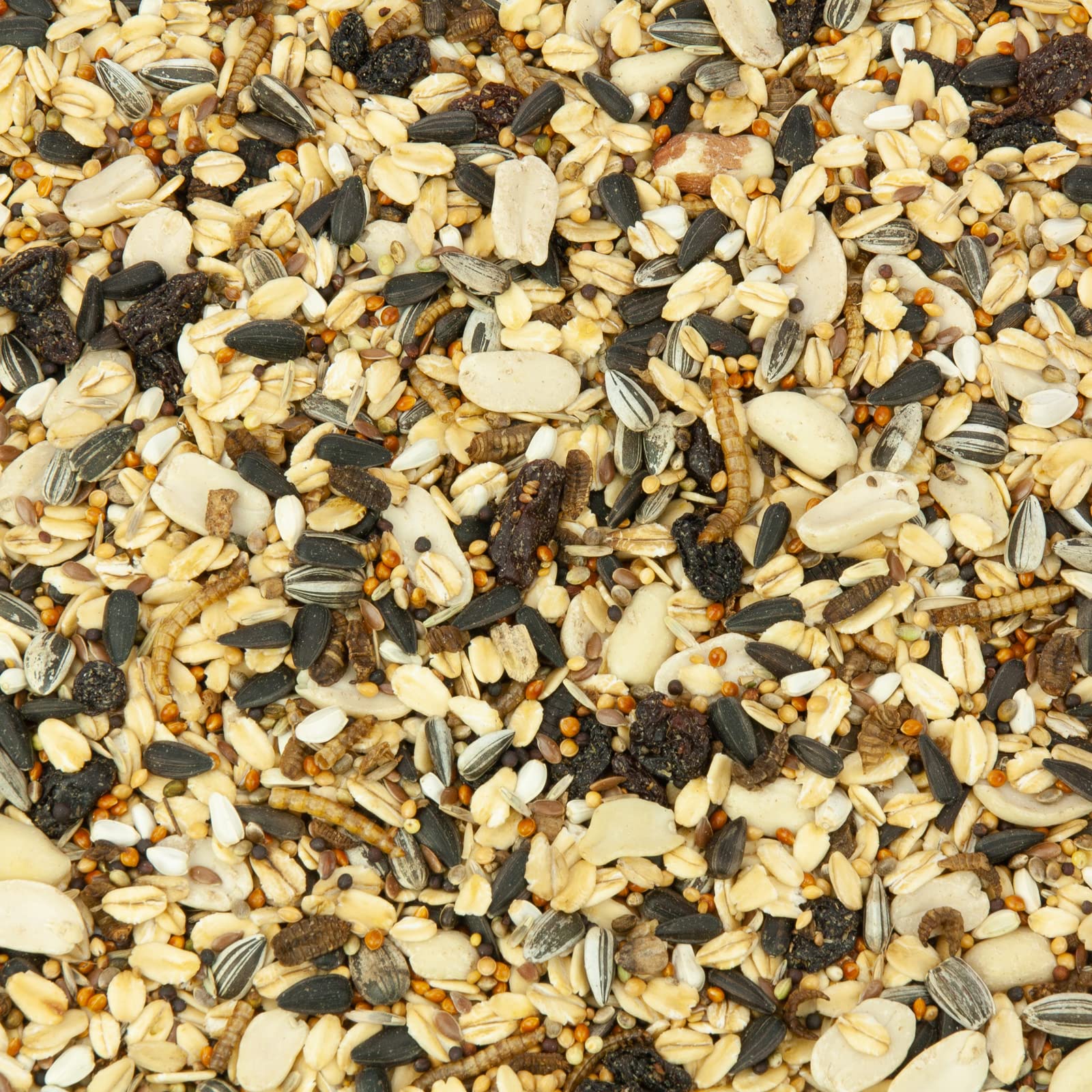 Mr. Crumble Winter-Picknick Vogelfutter 5 kg Insekten