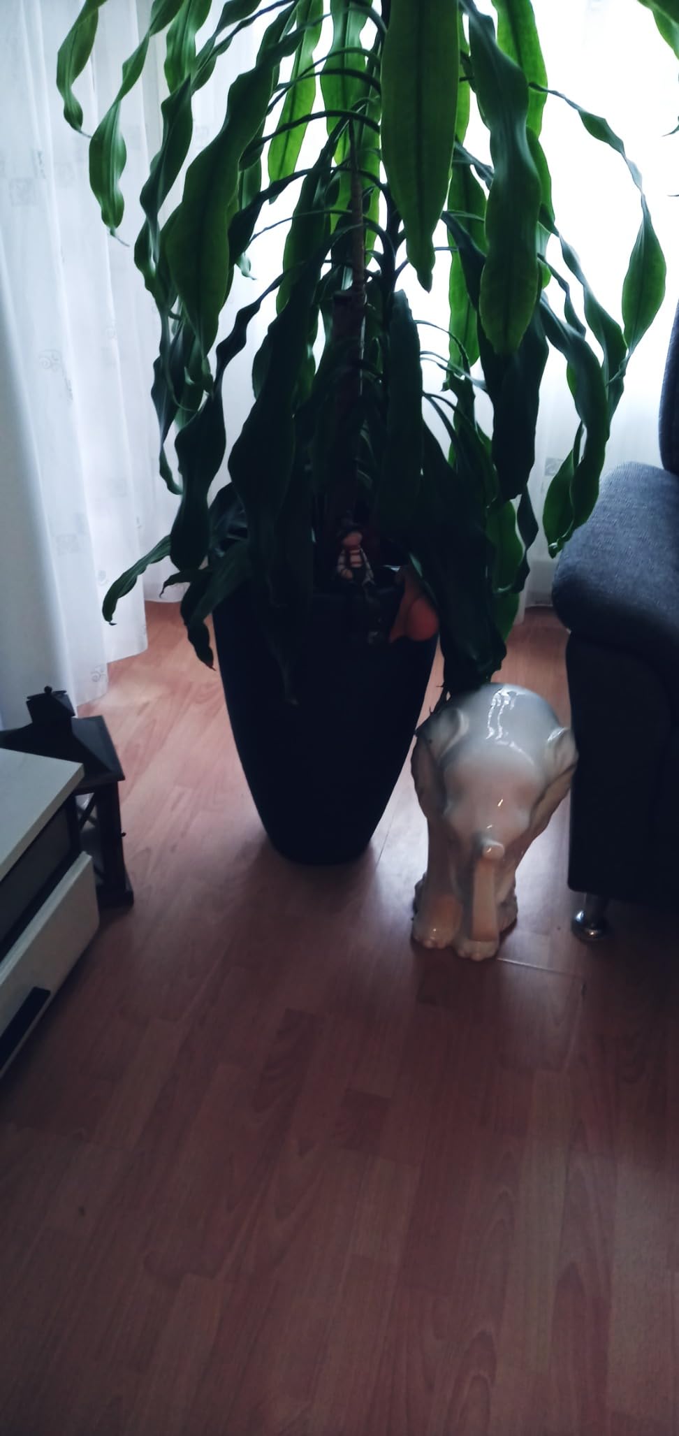 Dehner Vino Pflanzvase Ø40x60 cm anthrazit frostbeständig