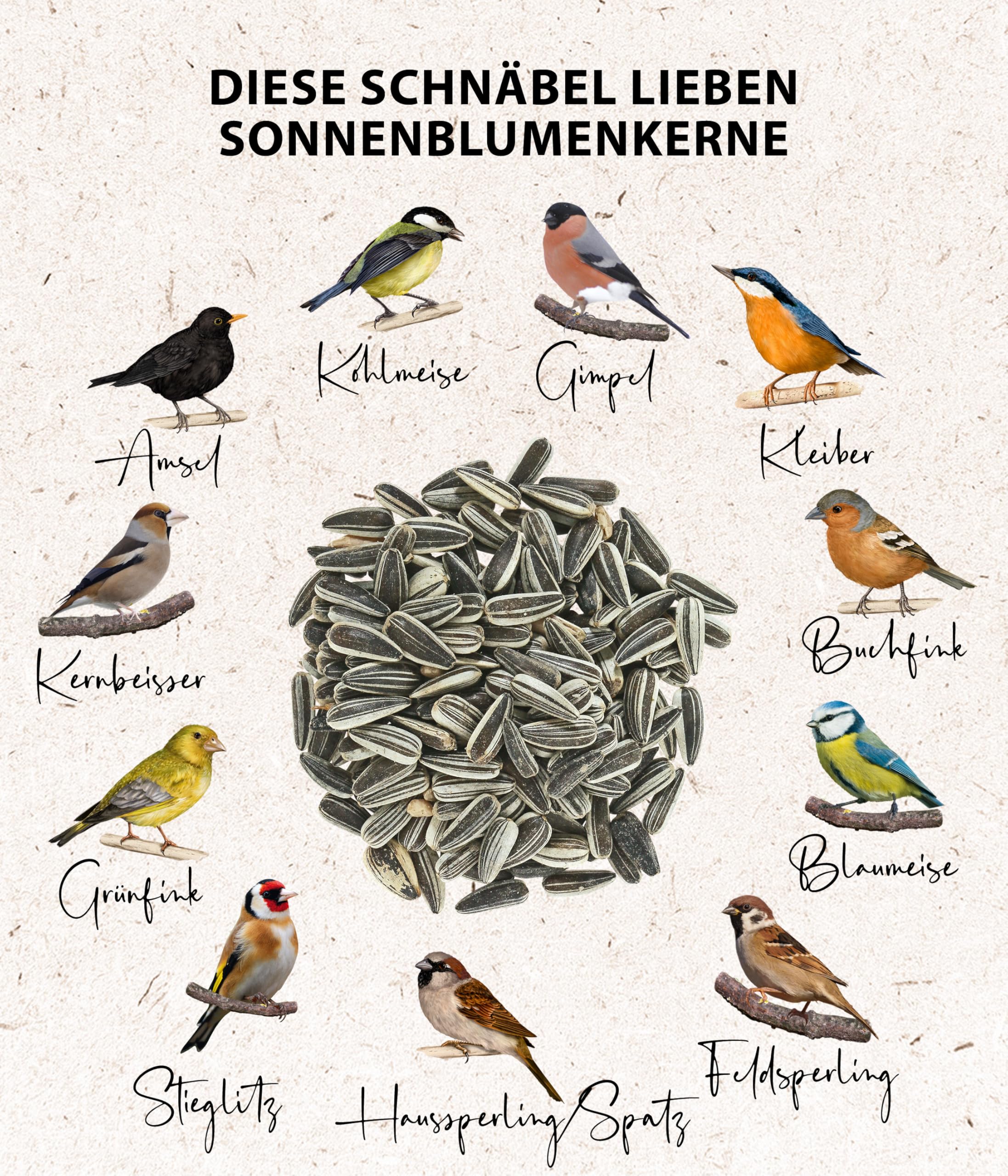 Dehner Natura Wildvogelfutter Ganzjahresfutter 2,5 kg