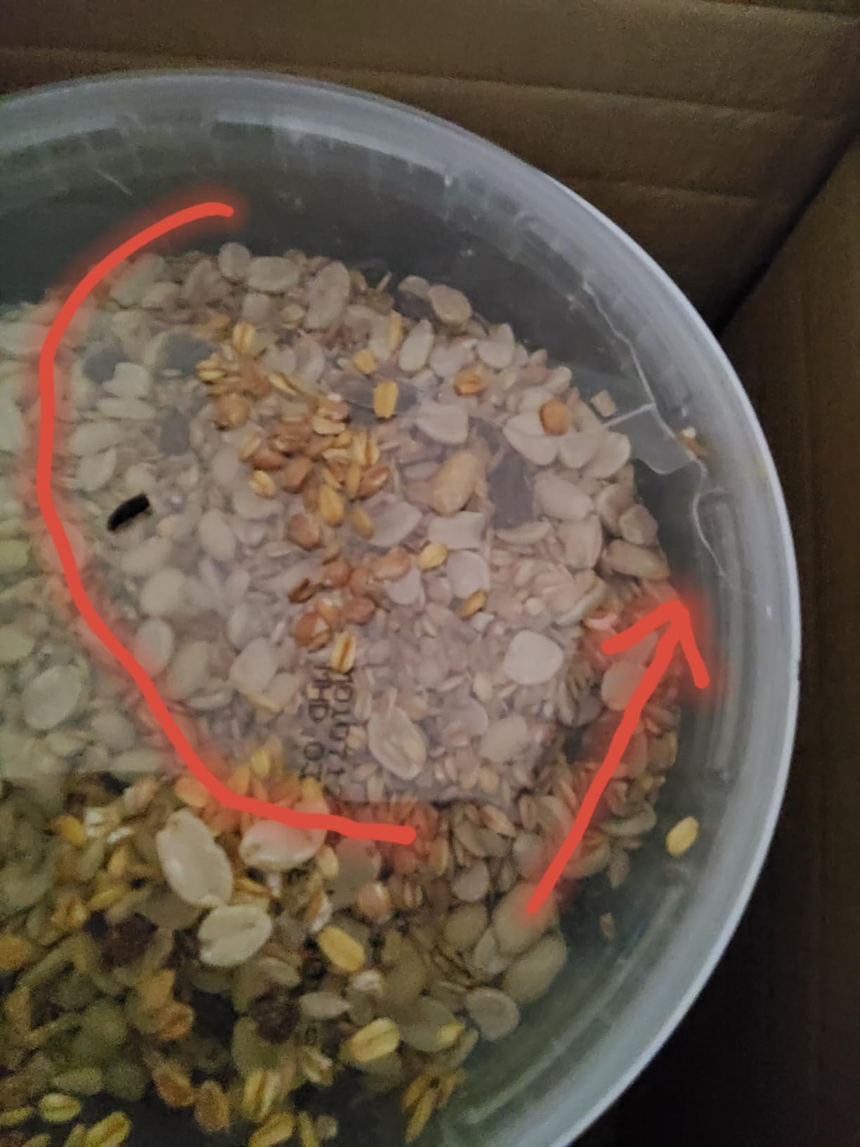 Dehner Natura Streufutter Wildvögel 3,6kg schalenfrei Erdnuss
