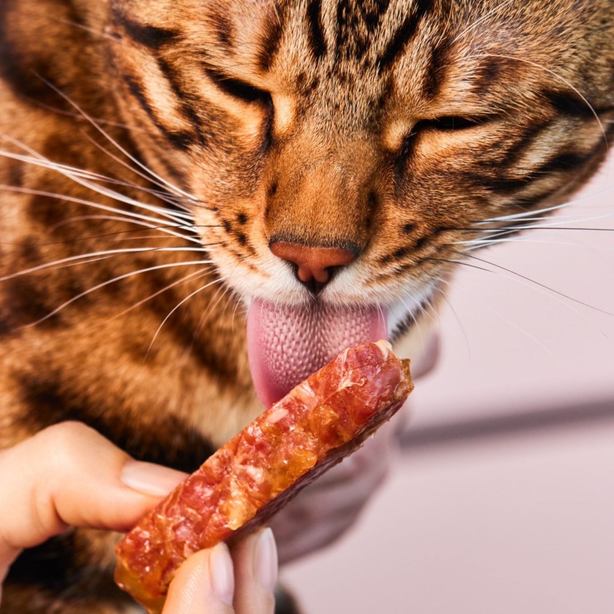 Lucky-Kitty Filet-Sticks Snack Kaninchen 4 Stück 98,5% Fleisch