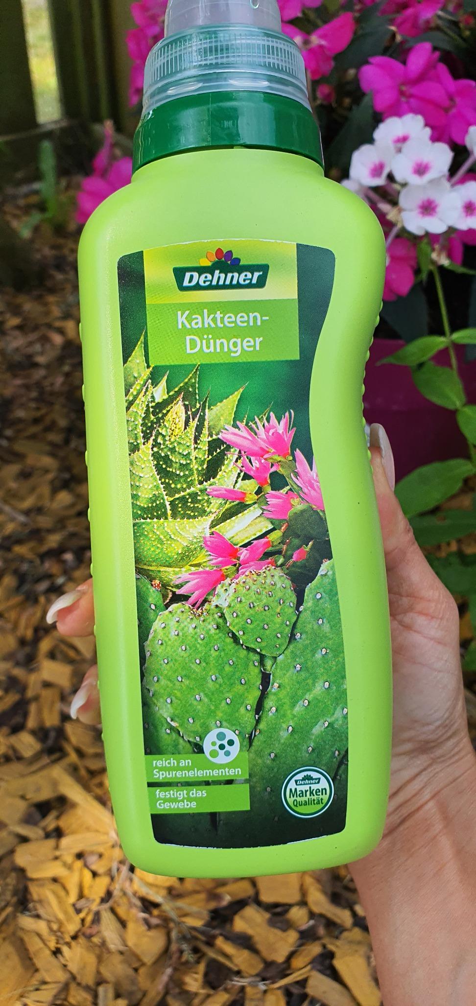 Dehner Kakteen- Sukkulentendünger flüssig 500ml NPK