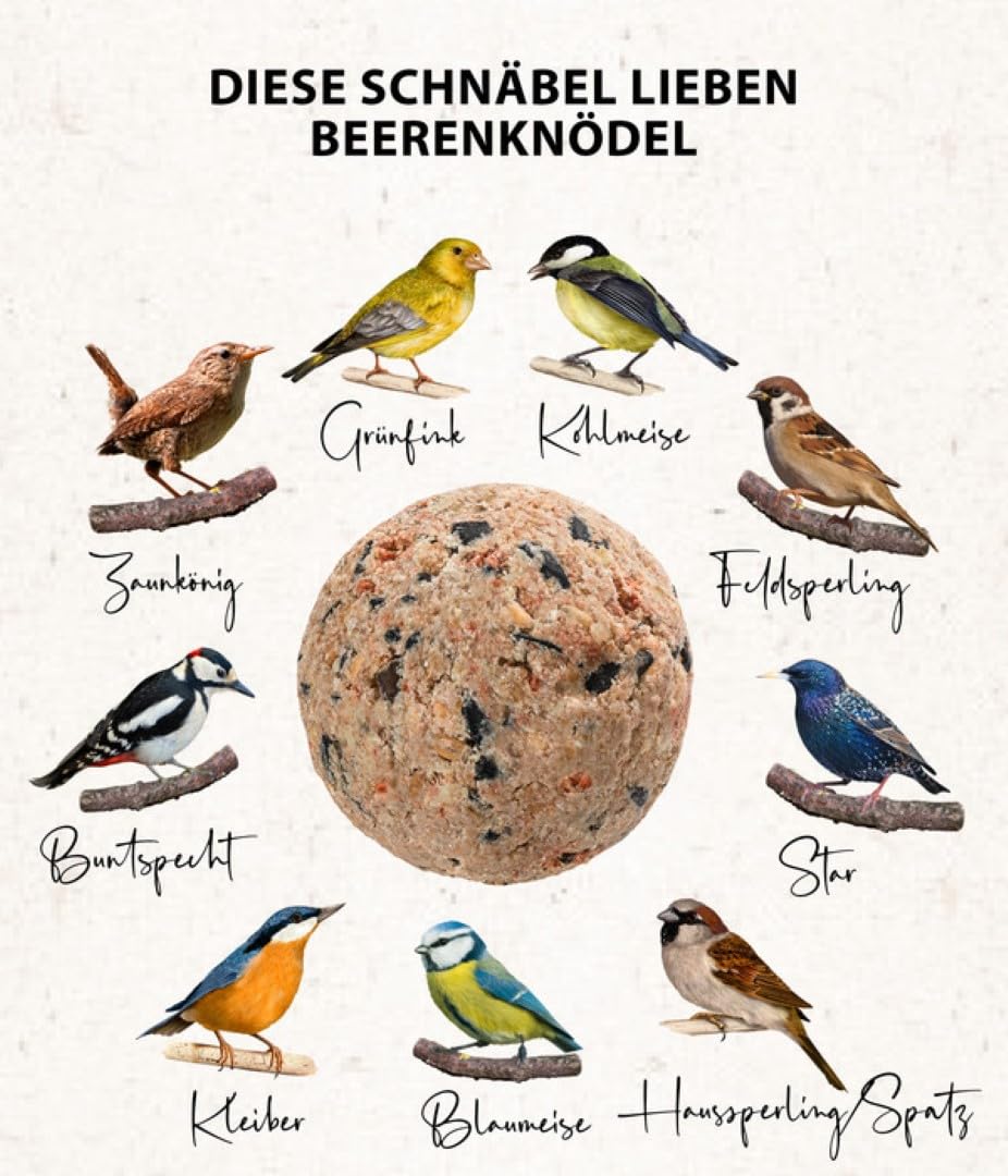 Dehner Natura Meisenknödel Beere ohne Netz 100x90g Eimer