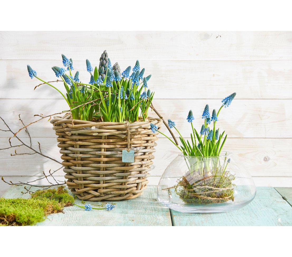 Dehner Premium Rattan Pflanztopf Ø29x20cm grau-braun Geflecht