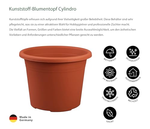 Dehner Cylindro Blumentopf terrakotta Ø 50 cm frostbeständig