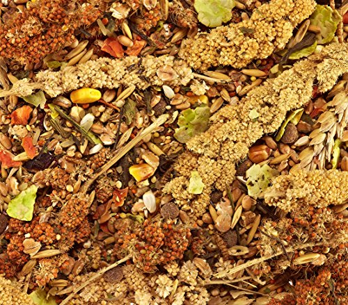 Dehner Best Nature Zwerghamsterfutter 3x500g natürlich