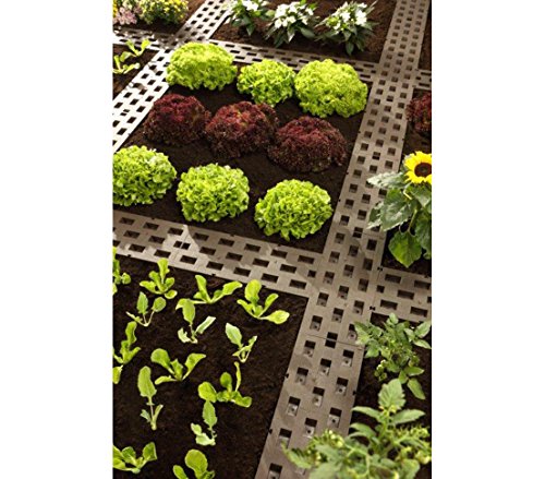 Dehner Premium Lovely Beetplatten steckbar 5er Pack 50x21cm