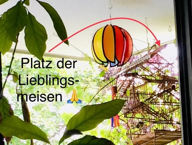 Dehner Natura Premium Wildvogelfutter Erdnüsse 3,4 kg schalenfrei