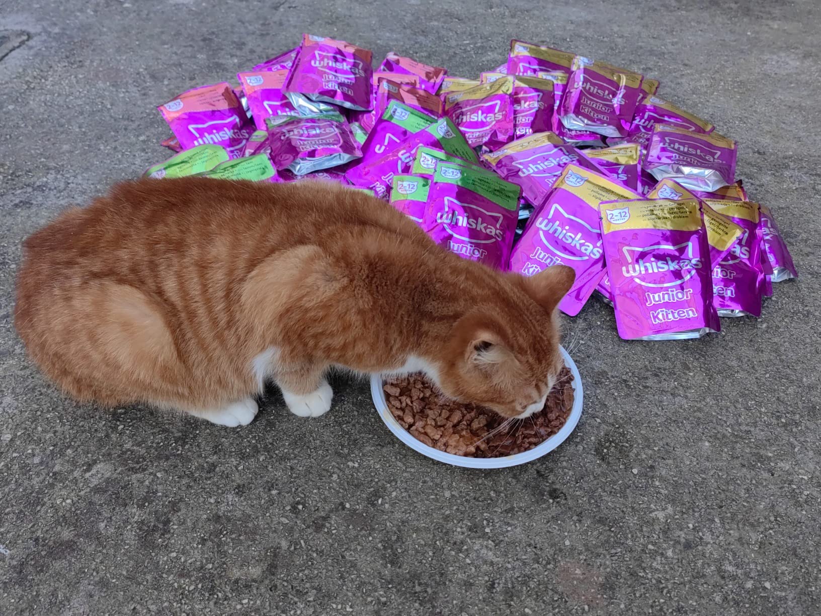 Whiskas Junior Nassfutter in Sauce Klassische Auswahl 84x85g