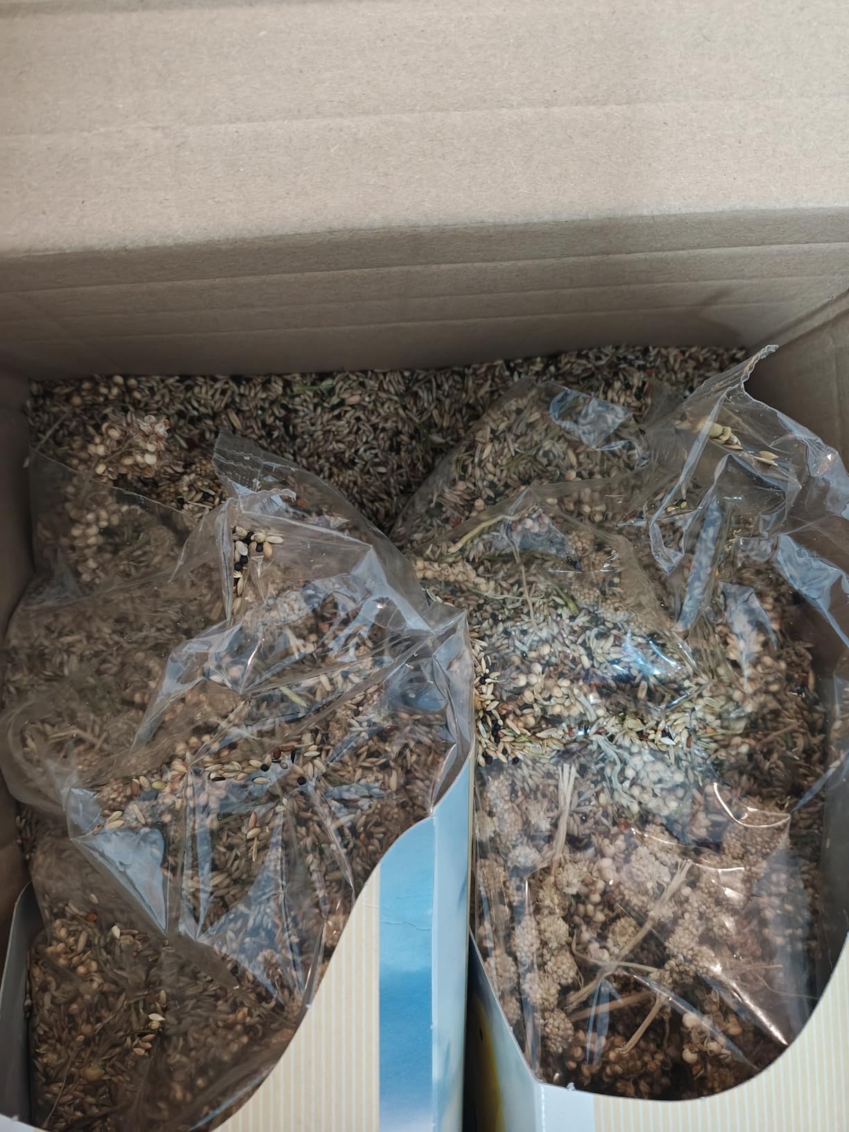 Dehner Best Nature Vogelfutter Kanarienfutter 2,5 kg Saaten