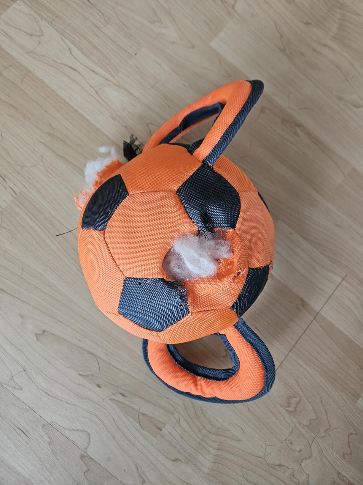 Dehner Wild Nature Handle Ball Hundespielzeug orange 35 cm