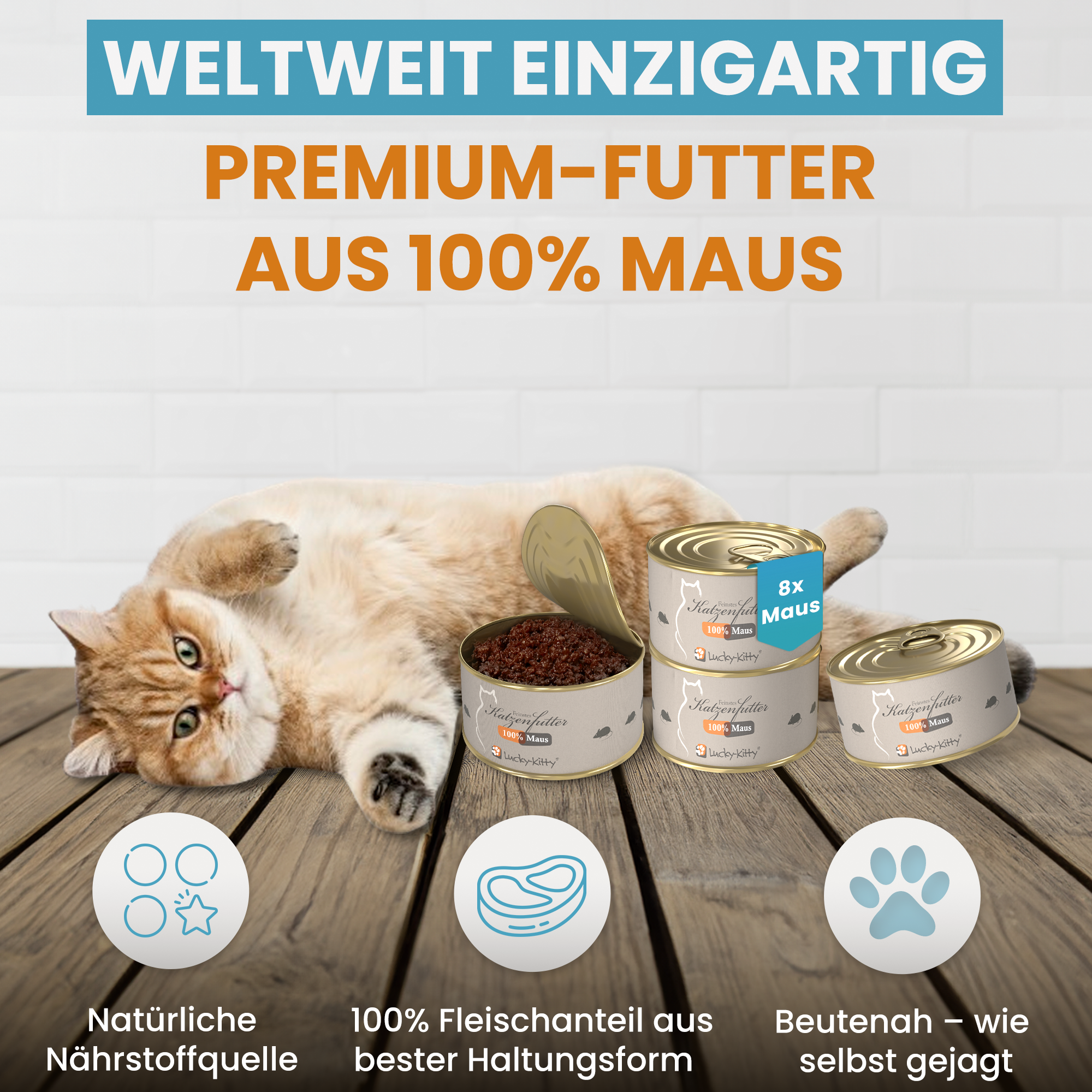 Lucky-Kitty Lieblingsfutter Nassfutter Mix 48 Dosen Huhn Pute Maus