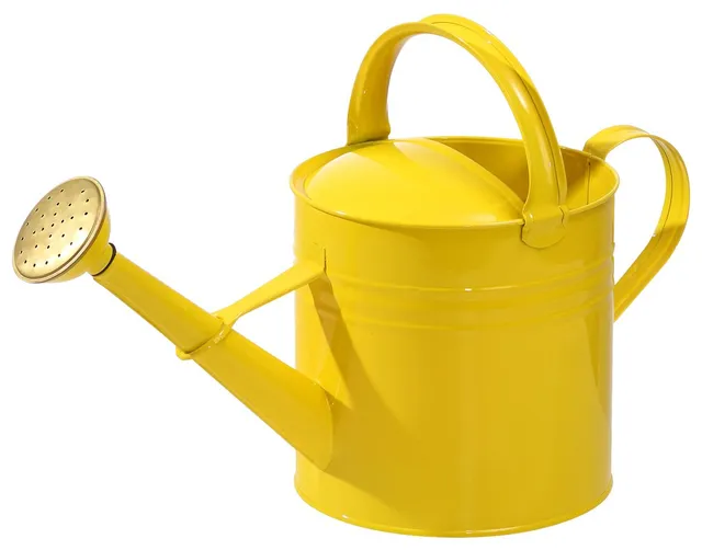 Dehner Gießkanne nostalgisch Zink gelb 5 l 41 cm