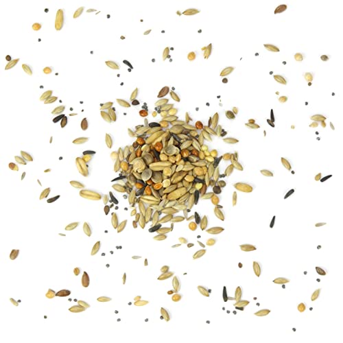 Mr. Crumble Kanarien-Fit Kanarienfutter 2,5kg ohne Rübsen