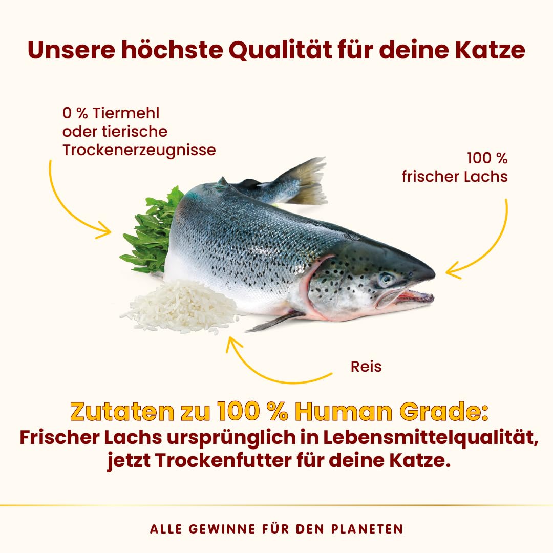 Almo Nature HFC Our Best Trockenfutter Katze Lachs 300g