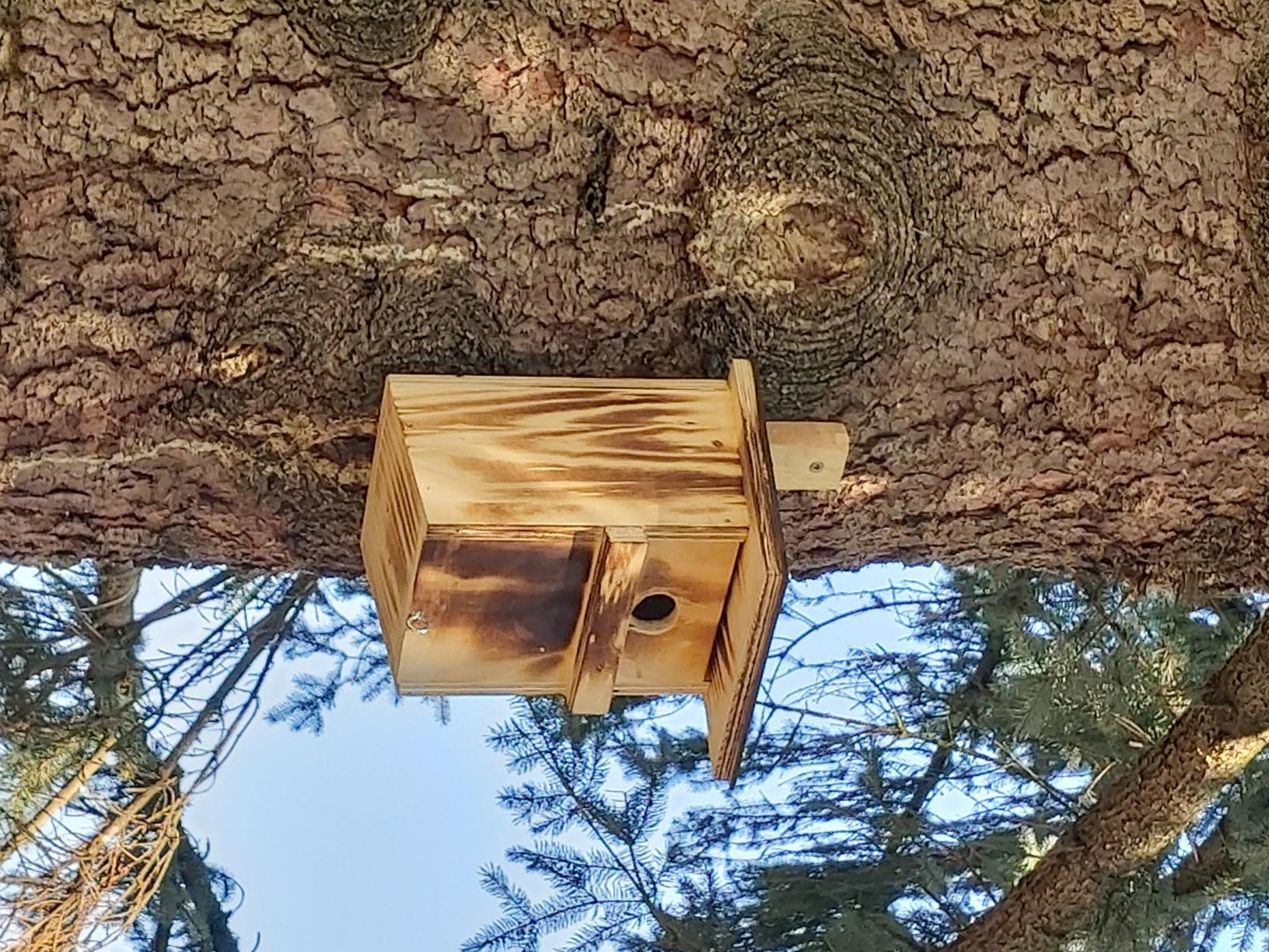 Dehner Natura Nistkasten Holz 28mm braun Meisenkasten
