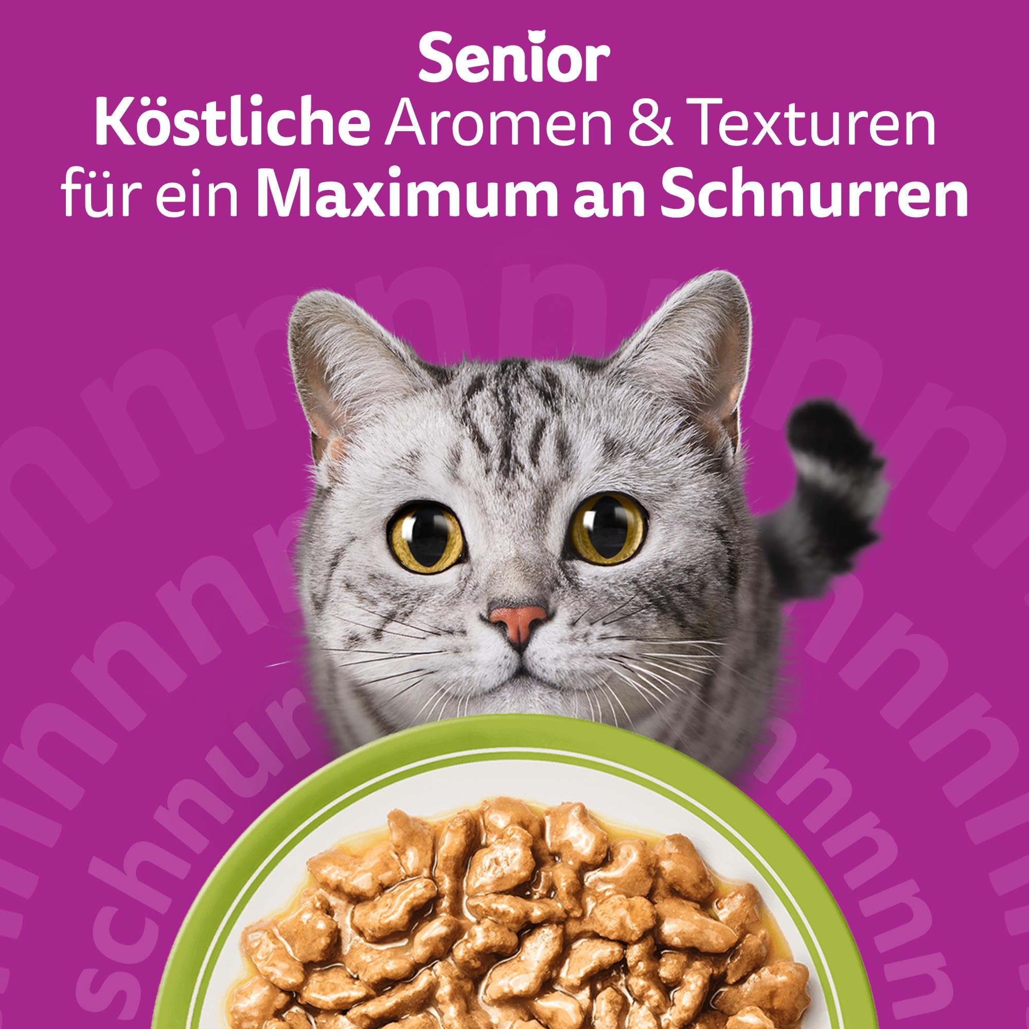Whiskas Senior 7+ Gemischte Auswahl Sauce Nassfutter 48x85g