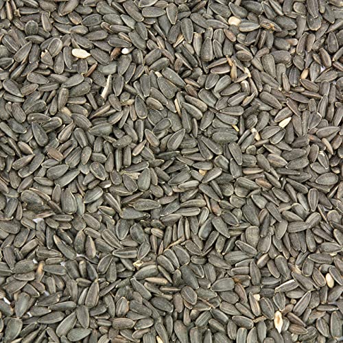 Mr. Crumble Schwarze Sonnenblumenkerne Vogelfutter 2,5 kg