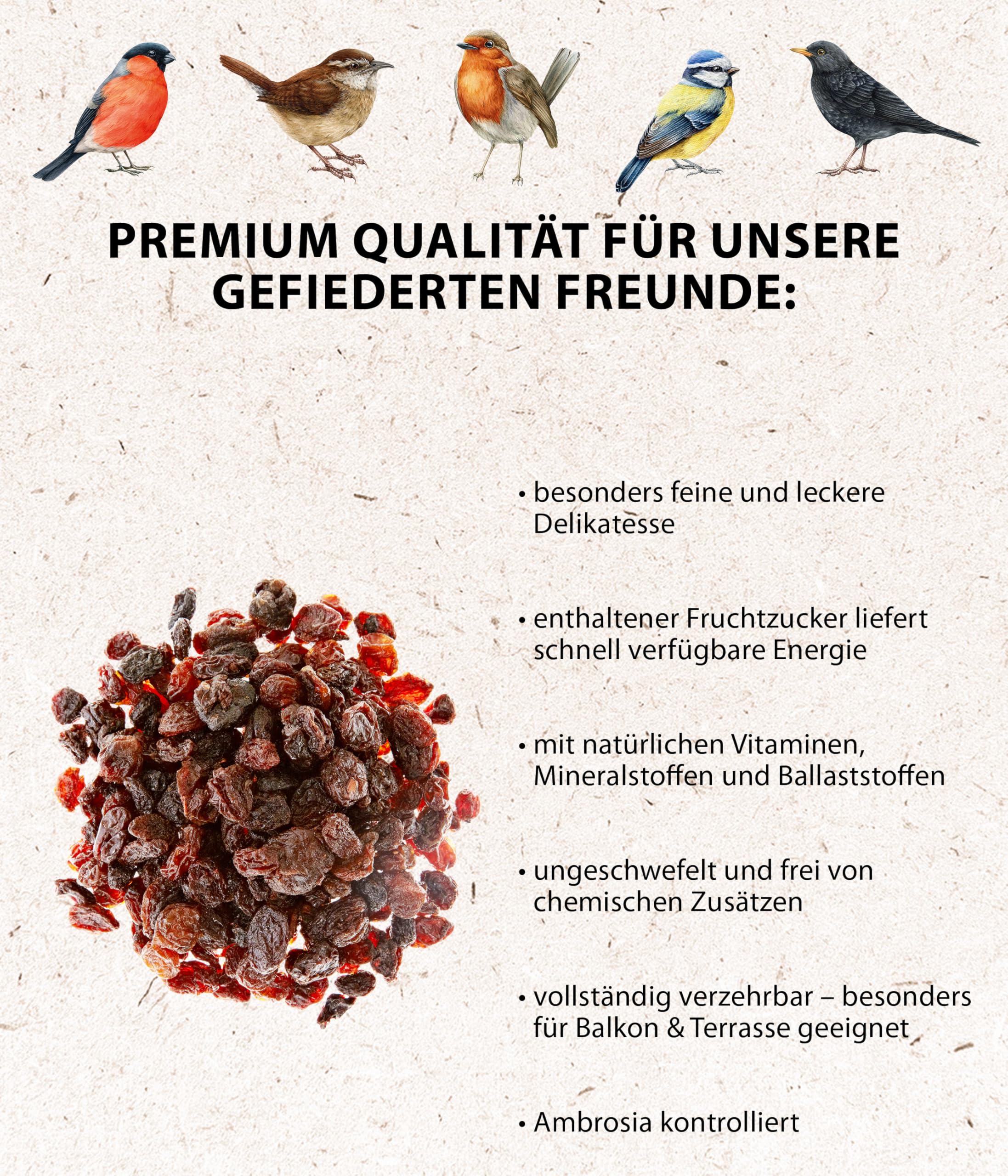 Dehner Natura Wildvogelfutter Rosinen 5 kg ungeschwefelt