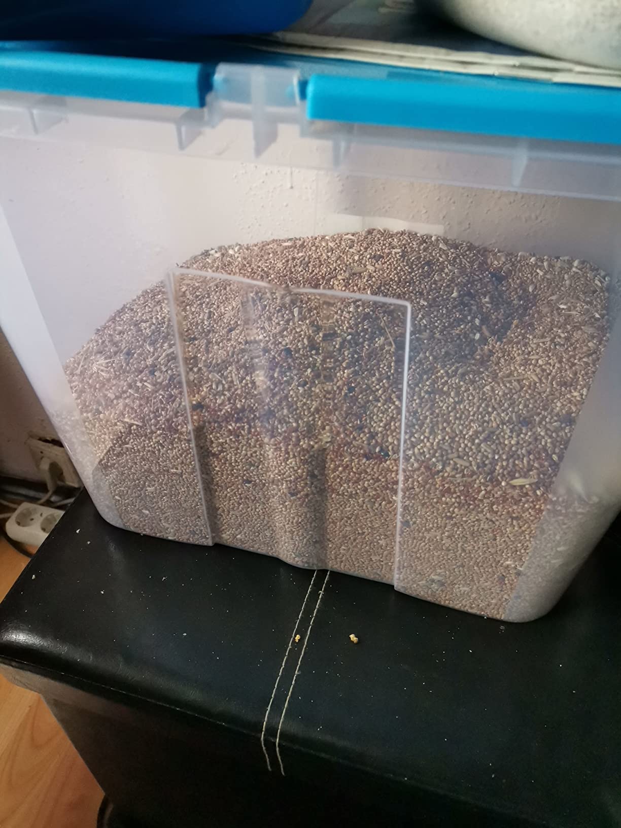 Dehner Lieblinge Wellensittichfutter 5 kg mit Jod