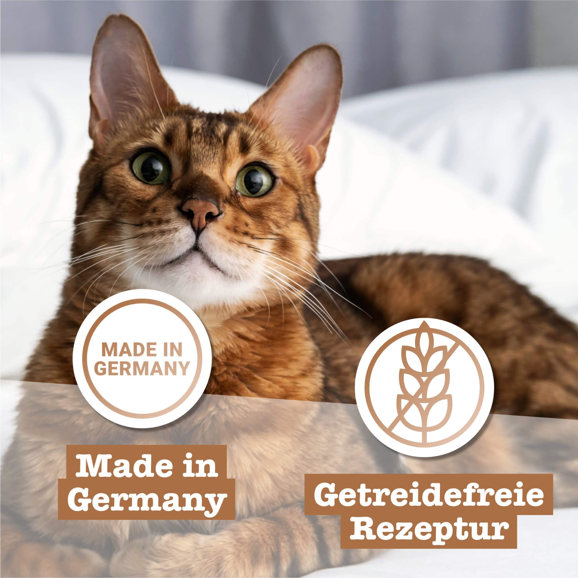 catz finefood Classic N° 9 Wild Nassfutter 6x300g zuckerfrei