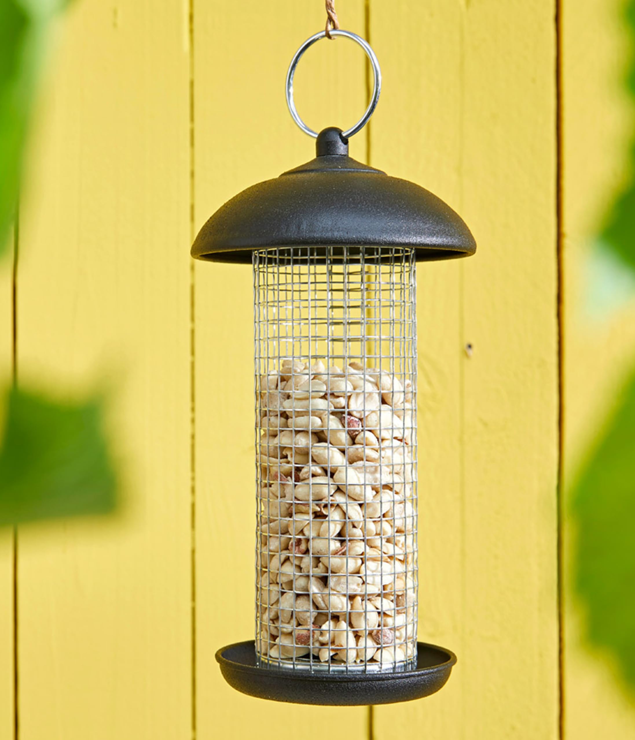 Dehner Natura Wildvogelfutter halbe Erdnüsse 5kg proteinreich