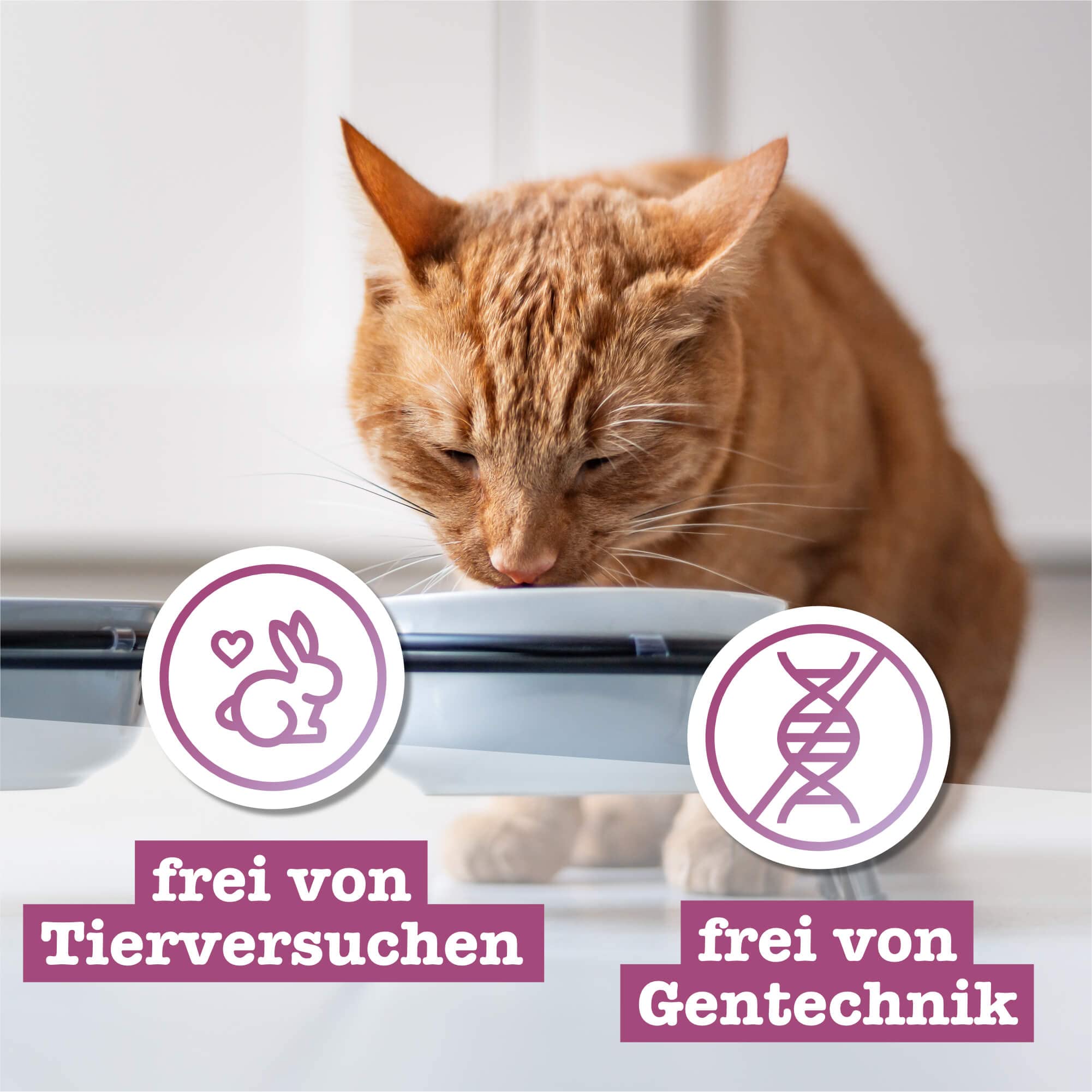 catz finefood Multipack 2 Nassfutter Mix 12x85g getreidefrei