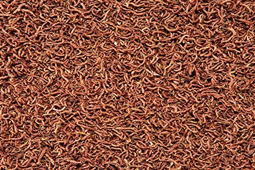 Dehner Aqua Rote Mückenlarven Fischfutter 10 g