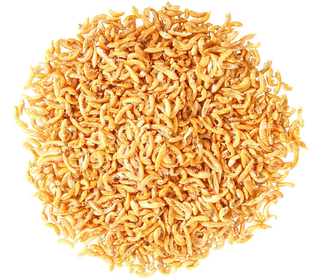 Dehner Aqua Gammarus Teichfischsnack 110 g proteinreich